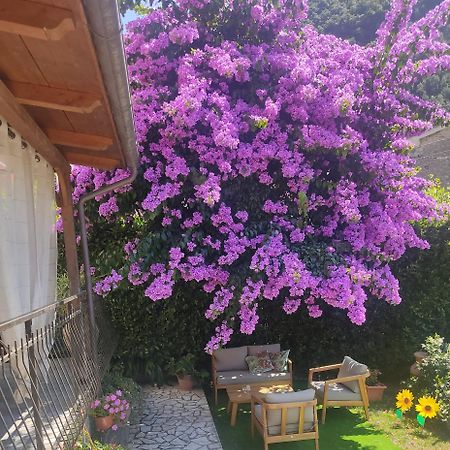La Bouganville E Il Gelsomino Pietrasanta Εξωτερικό φωτογραφία