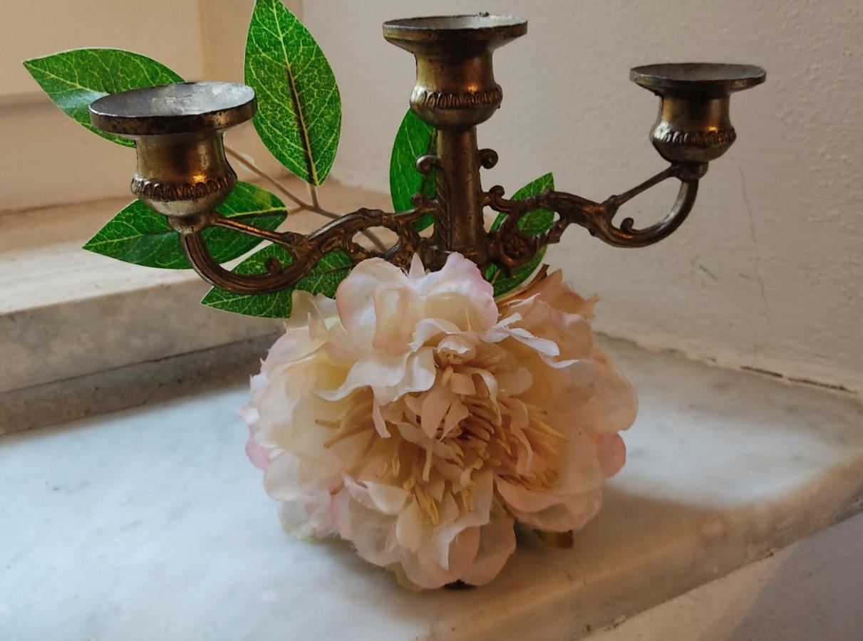 La Bouganville E Il Gelsomino Pietrasanta Εξωτερικό φωτογραφία