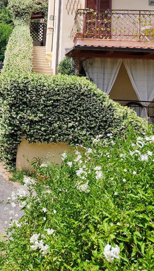 La Bouganville E Il Gelsomino Pietrasanta Εξωτερικό φωτογραφία