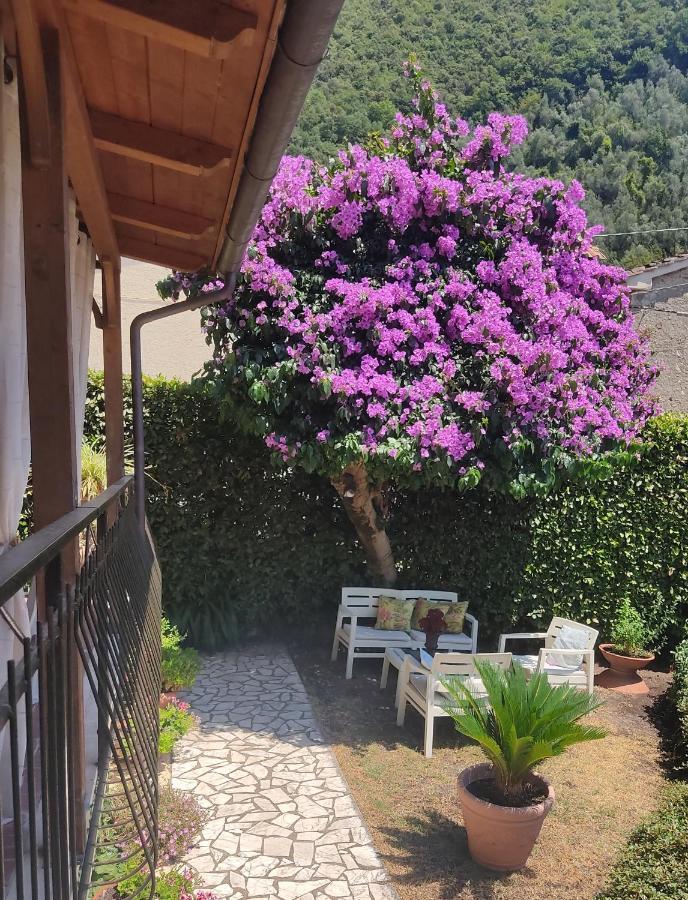 La Bouganville E Il Gelsomino Pietrasanta Εξωτερικό φωτογραφία