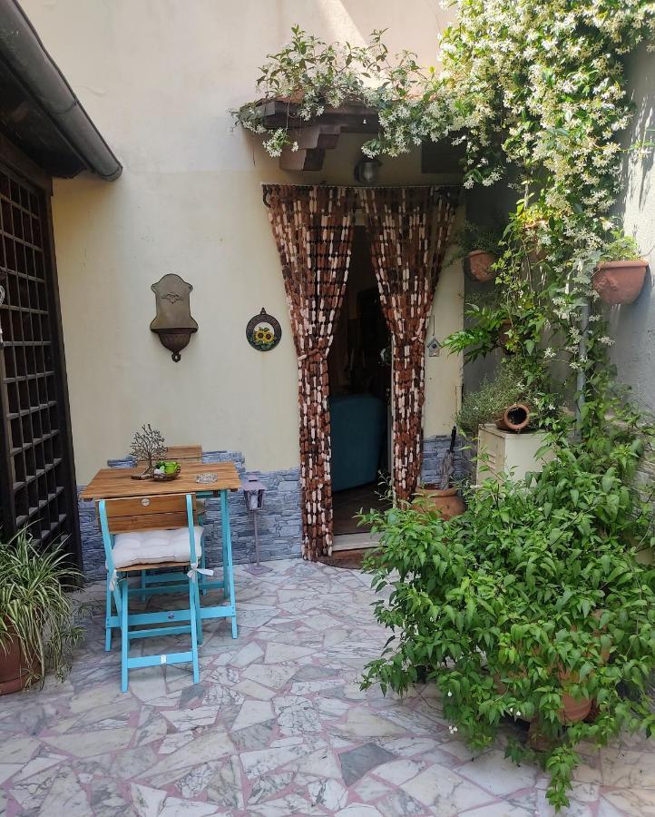 La Bouganville E Il Gelsomino Pietrasanta Εξωτερικό φωτογραφία