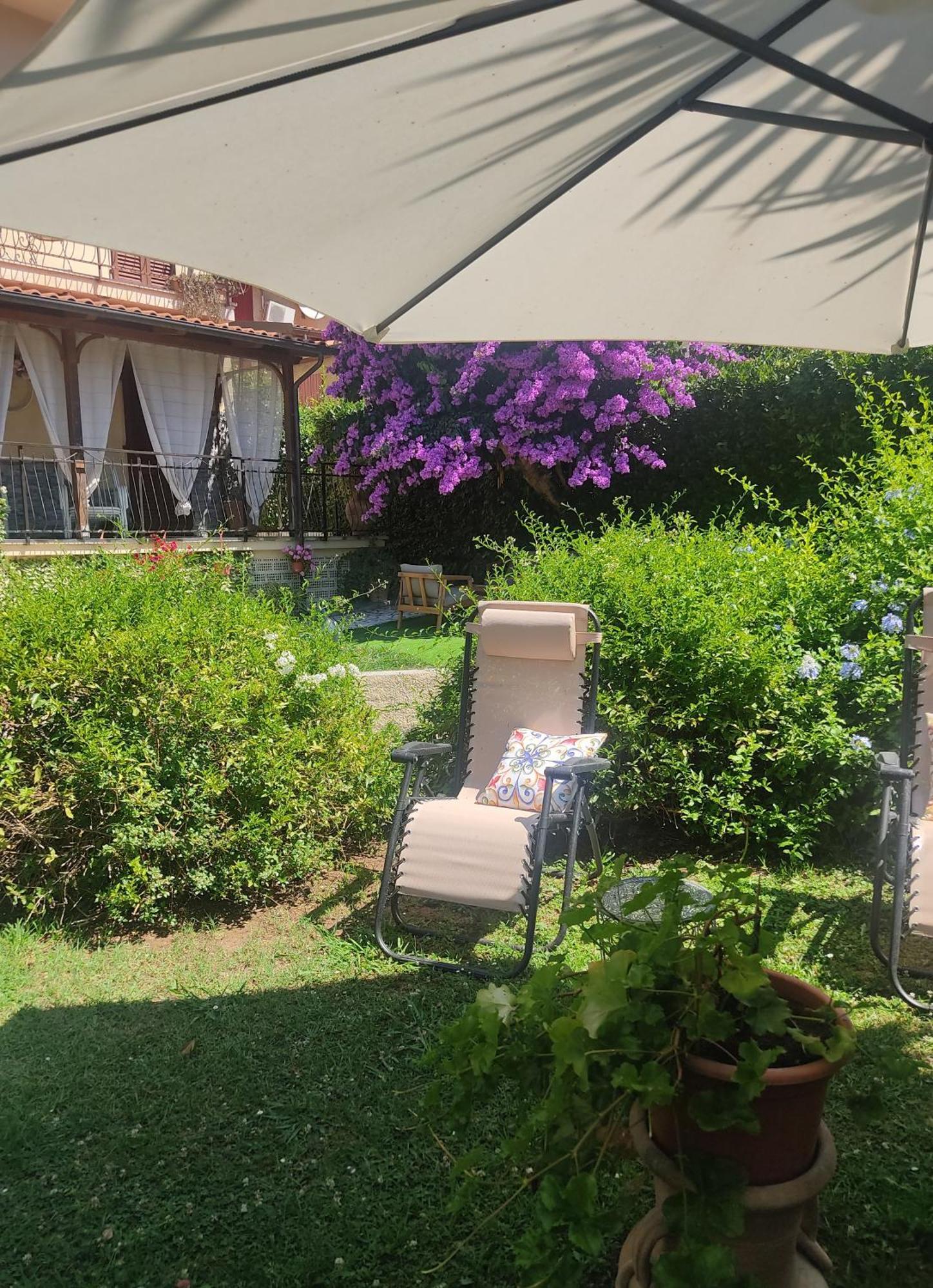 La Bouganville E Il Gelsomino Pietrasanta Εξωτερικό φωτογραφία