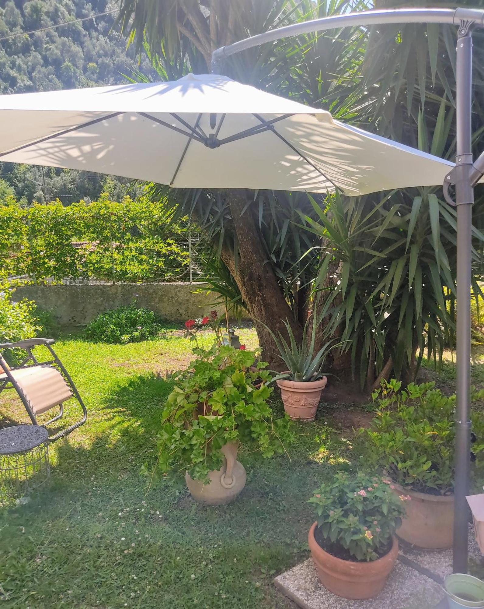 La Bouganville E Il Gelsomino Pietrasanta Εξωτερικό φωτογραφία