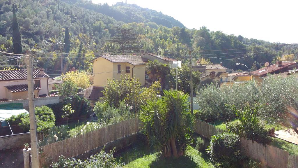 La Bouganville E Il Gelsomino Pietrasanta Εξωτερικό φωτογραφία